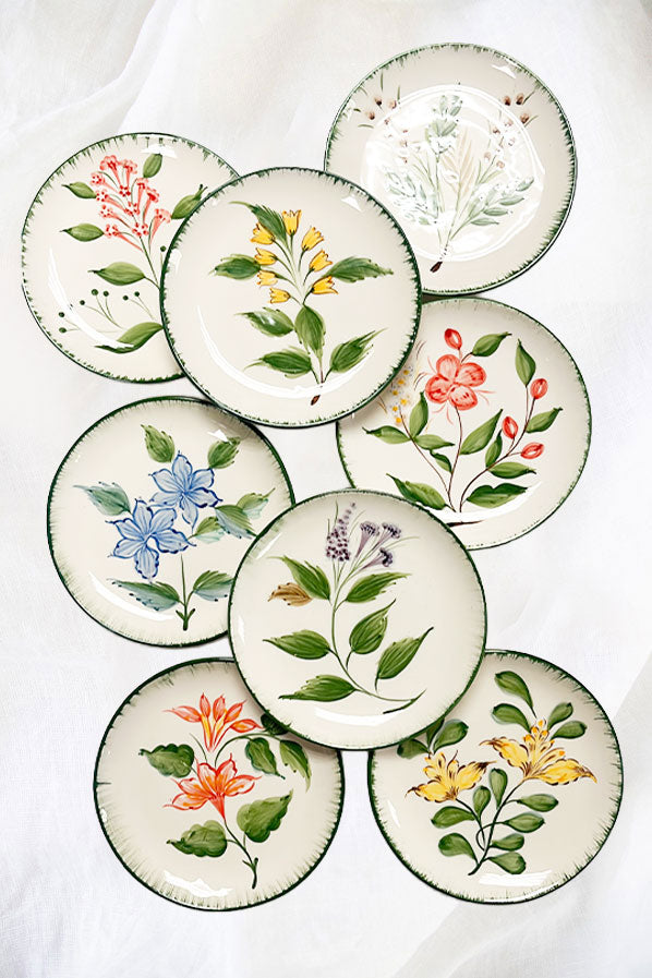 Platito de pan botánica