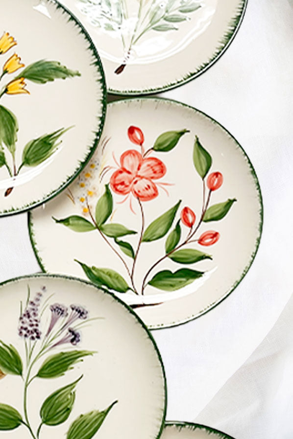 Platito de pan botánica